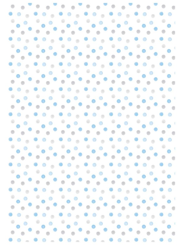 Папка адресная Свидетельство о рождении OfficeSpace 