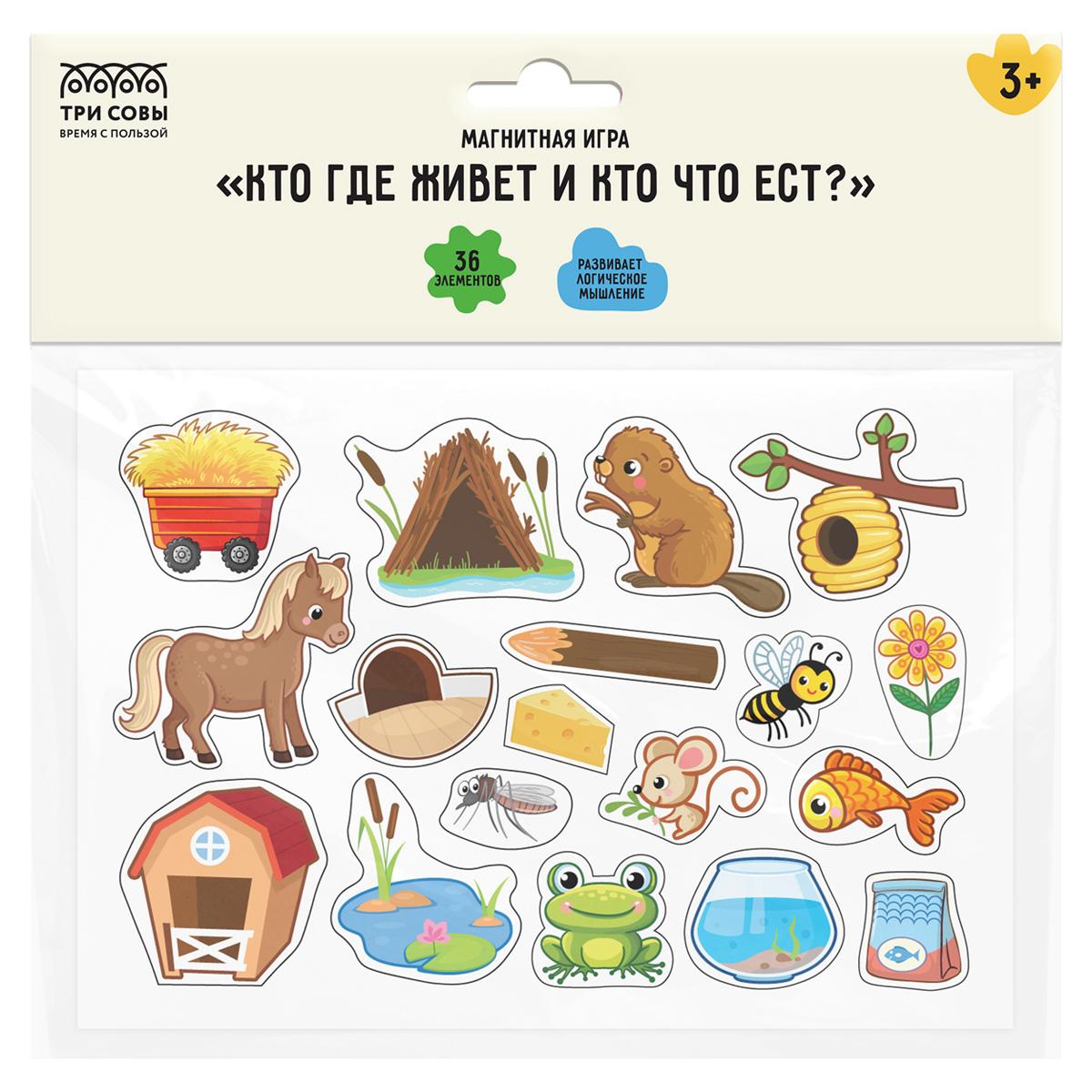 Игра развивающая на магнитах ТРИ СОВЫ 