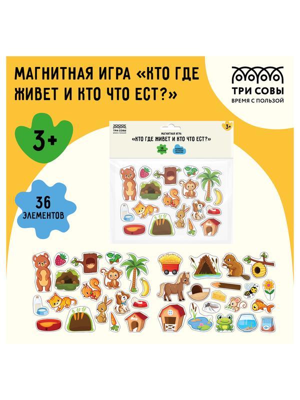Игра развивающая на магнитах ТРИ СОВЫ 