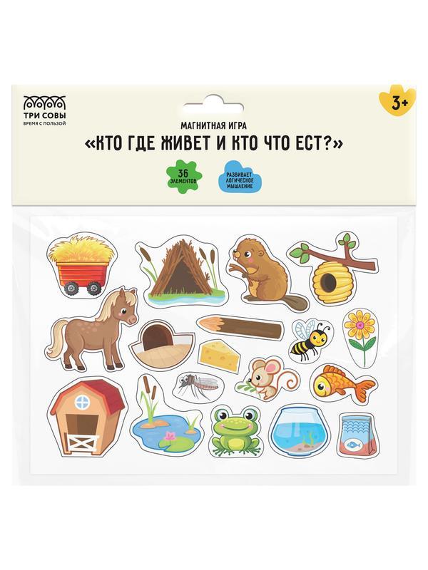 Игра развивающая на магнитах ТРИ СОВЫ 