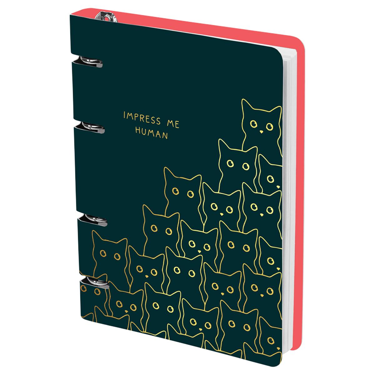 Тетрадь на кольцах А5, 100л., MESHU 