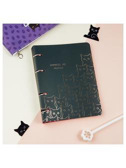 Тетрадь на кольцах А5, 100л., MESHU 