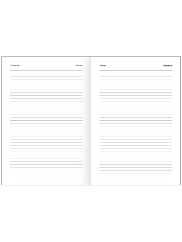 Ежедневник датированный 2025г., А5, 168л., бумвинил, BG, коричневый, 2 шт.