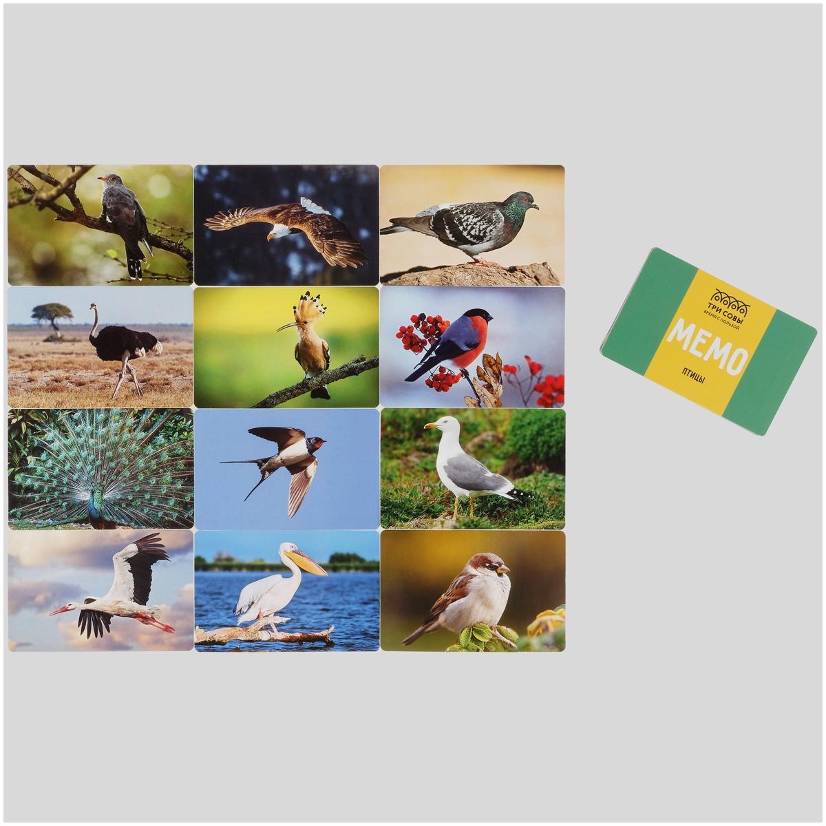 Игра настольная ТРИ СОВЫ 