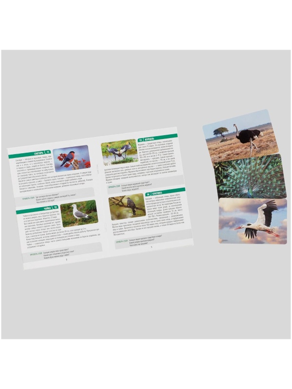 Игра настольная ТРИ СОВЫ 