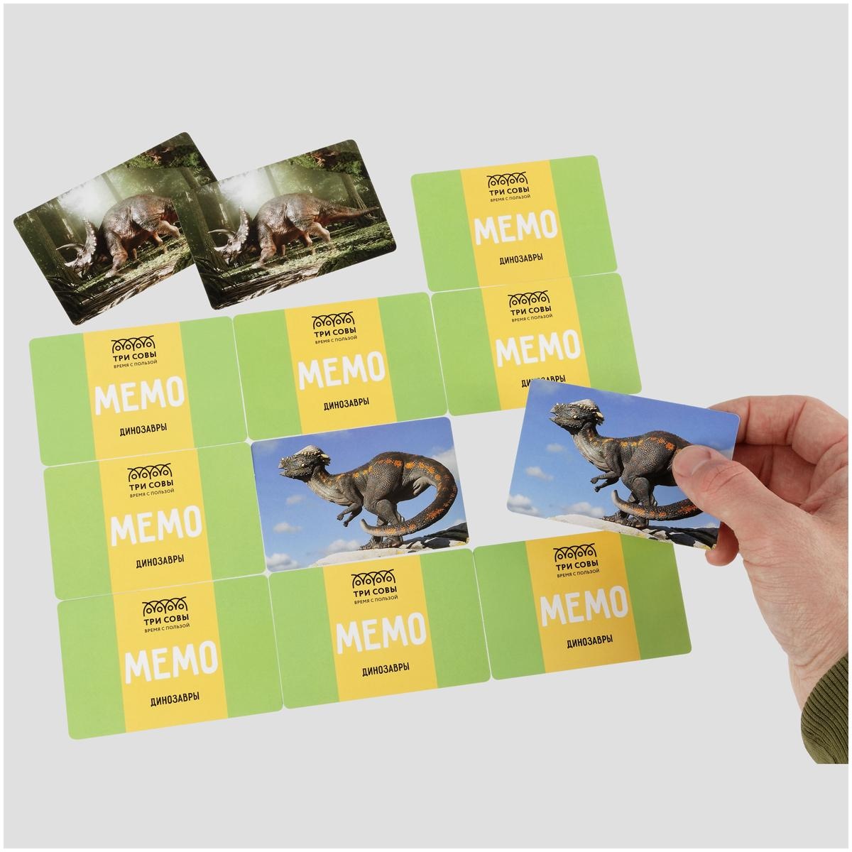 Игра настольная ТРИ СОВЫ 