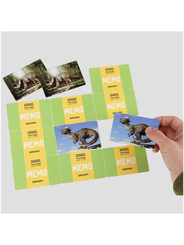 Игра настольная ТРИ СОВЫ 