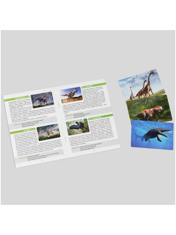 Игра настольная ТРИ СОВЫ 