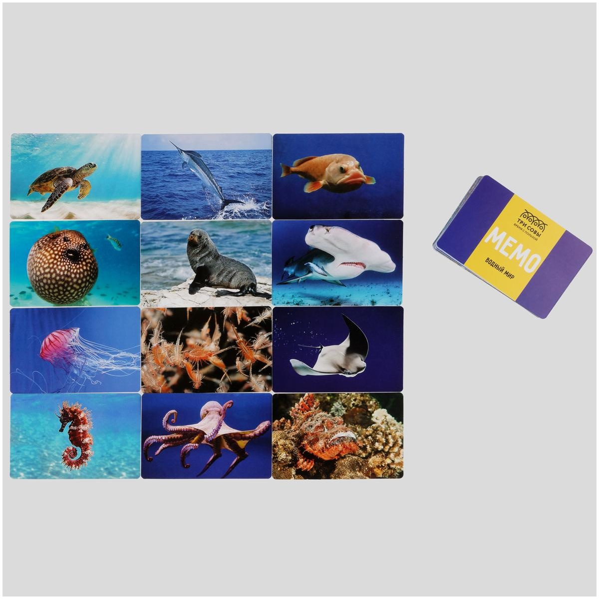 Игра настольная ТРИ СОВЫ 