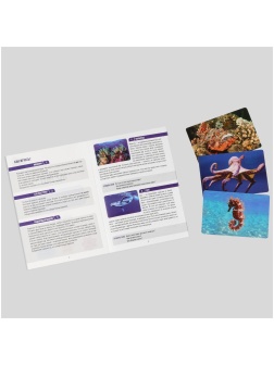 Игра настольная ТРИ СОВЫ 