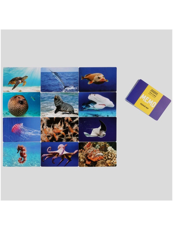 Игра настольная ТРИ СОВЫ 