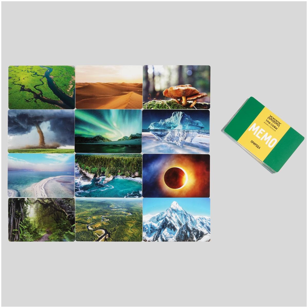 Игра настольная ТРИ СОВЫ 