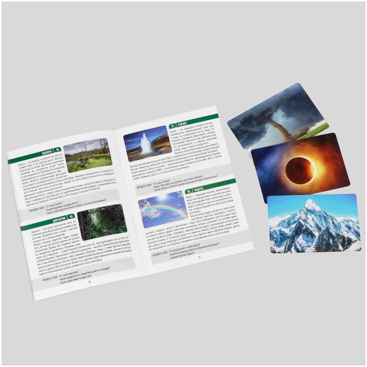 Игра настольная ТРИ СОВЫ 