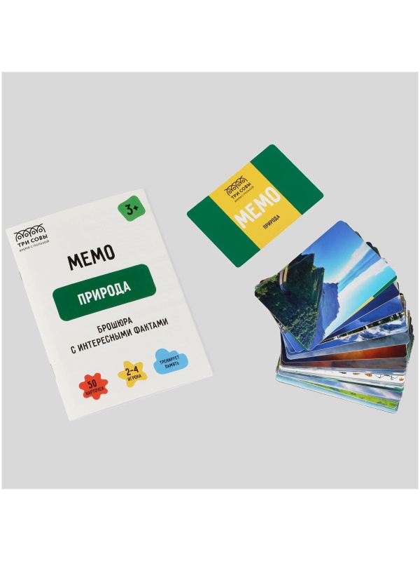 Игра настольная ТРИ СОВЫ 