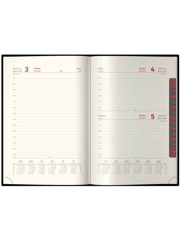 Ежедневник датированный 2025г., А4-(В5), 184л., Delucci, Гладкая кожа, зол. срез, коричневый, 1 шт.