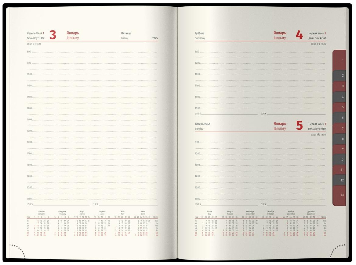 Ежедневник датированный 2025г., А5, 184л., Delucci, Фактурная кожа, зол. срез, черный, 1 шт.