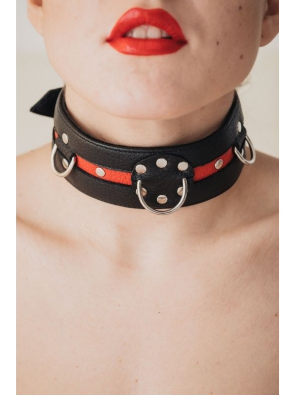 Черно-красный ошейник на пряжке