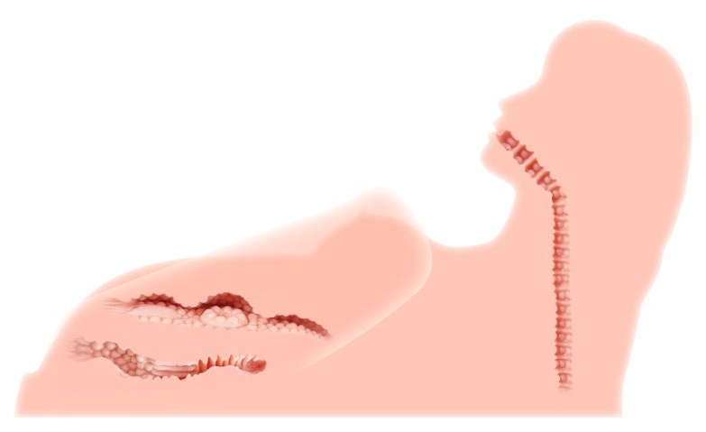 Реалистичный торс-девушка Hera 3 с тремя тугими отверстиями, вибрацией, ротацией и голосом