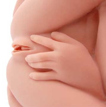 Реалистичный торс-девушка Hera 3 с тремя тугими отверстиями, вибрацией, ротацией и голосом