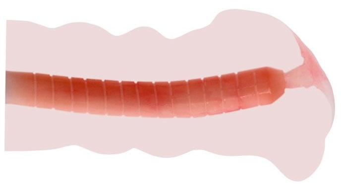 Мастурбатор  Сладкая Акими  без вибрации