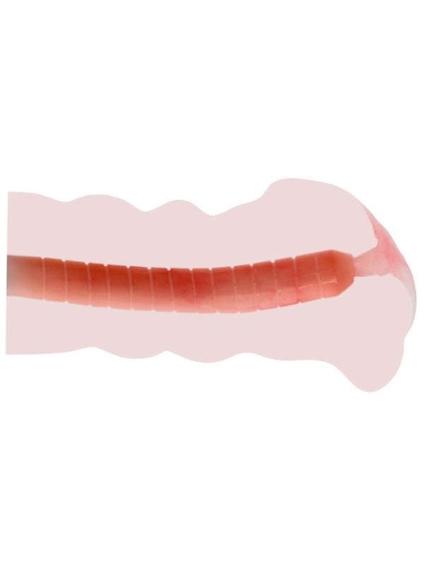 Мастурбатор  Сладкая Акими  без вибрации