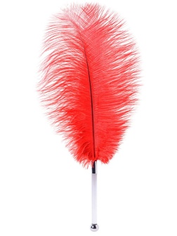 Красное страусиное пёрышко - 40 см.