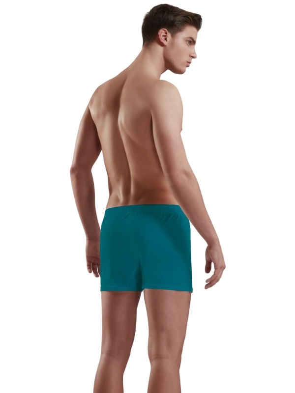 Хлопковые трусы-боксеры свободного покроя Doreanse Cotton Basic