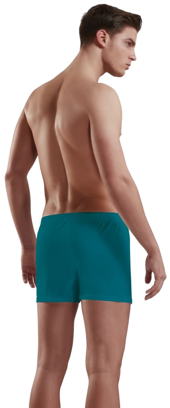 Хлопковые трусы-боксеры свободного покроя Doreanse Cotton Basic
