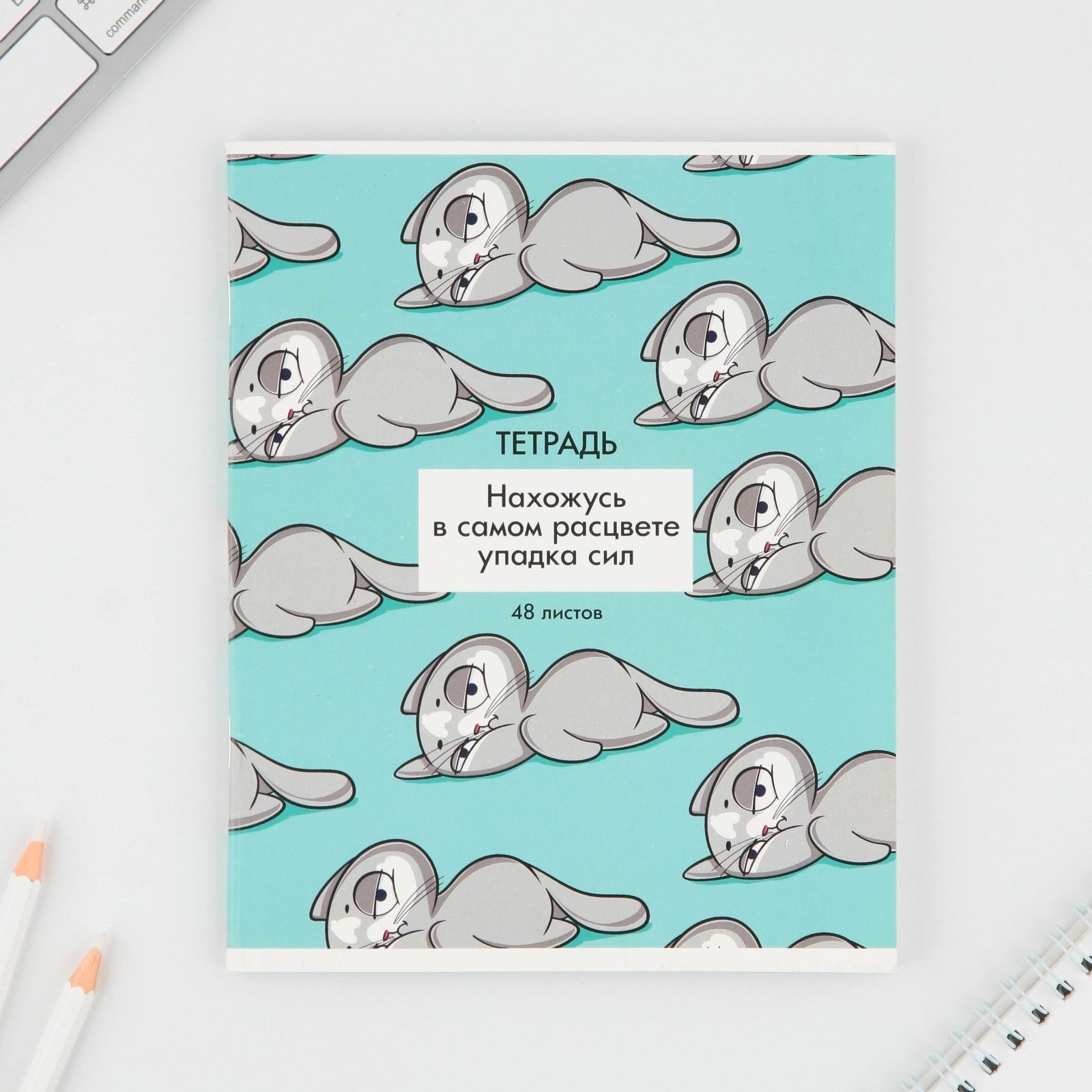 Тетрадь в клетку, 48 листов А5 на скрепке МИКС «1 сентября: Котики приколы», обложка мелованный картон 230 гр.,блок №1, 80 гр., белизна 96%