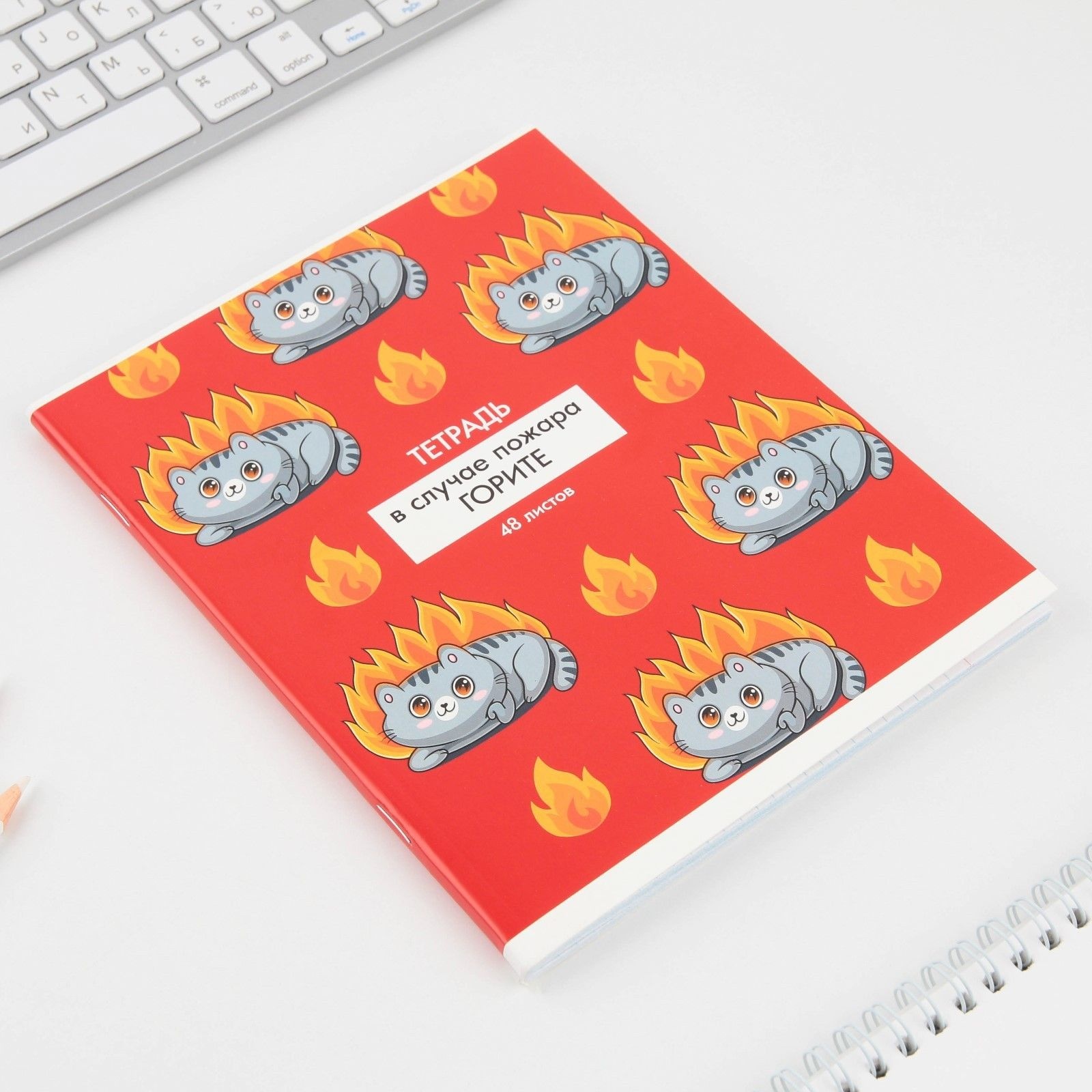 Тетрадь в клетку, 48 листов А5 на скрепке МИКС «1 сентября: Котики приколы», обложка мелованный картон 230 гр.,блок №1, 80 гр., белизна 96%