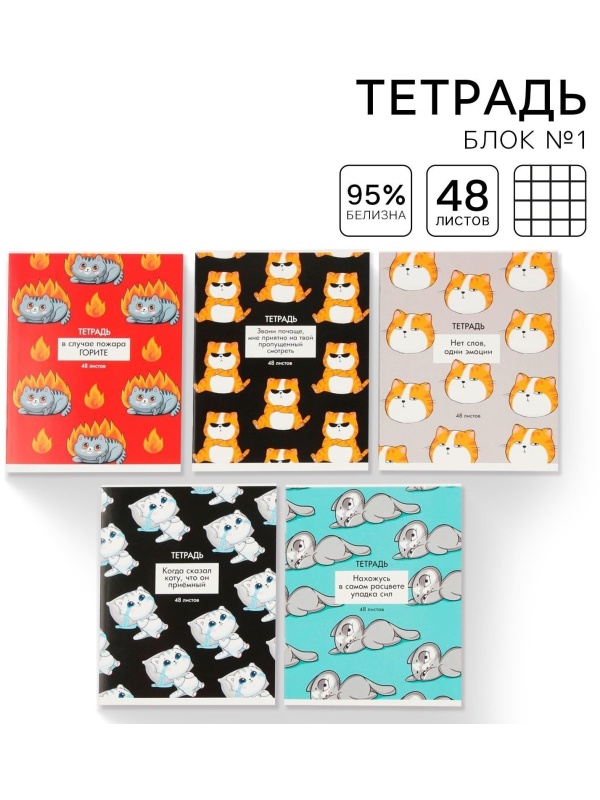 Тетрадь в клетку, 48 листов А5 на скрепке МИКС «1 сентября: Котики приколы», обложка мелованный картон 230 гр.,блок №1, 80 гр., белизна 96%