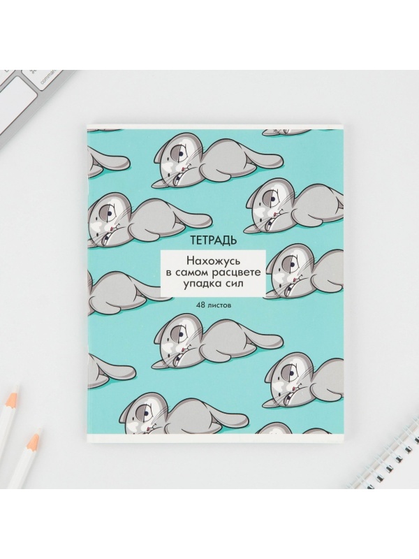 Тетрадь в клетку, 48 листов А5 на скрепке МИКС «1 сентября: Котики приколы», обложка мелованный картон 230 гр.,блок №1, 80 гр., белизна 96%