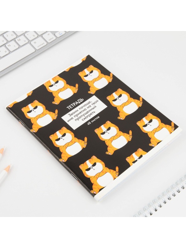 Тетрадь в клетку, 48 листов А5 на скрепке МИКС «1 сентября: Котики приколы», обложка мелованный картон 230 гр.,блок №1, 80 гр., белизна 96%