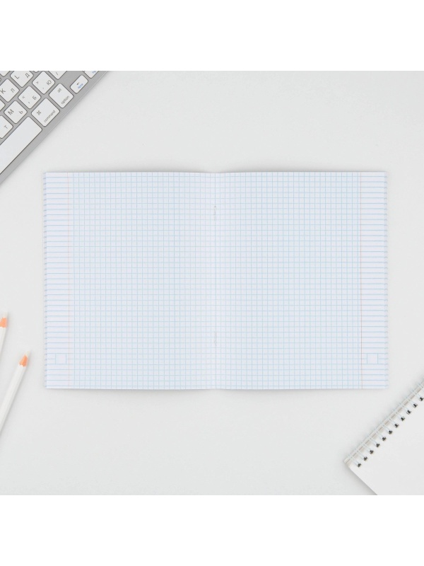 Тетрадь в клетку, 48 листов А5 на скрепке МИКС «1 сентября: Котики приколы», обложка мелованный картон 230 гр.,блок №1, 80 гр., белизна 96%