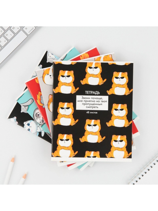 Тетрадь в клетку, 48 листов А5 на скрепке МИКС «1 сентября: Котики приколы», обложка мелованный картон 230 гр.,блок №1, 80 гр., белизна 96%