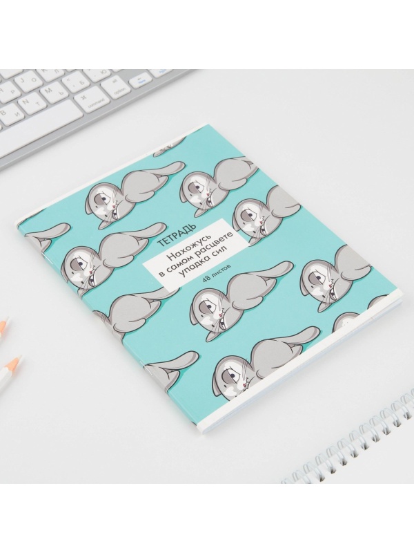 Тетрадь в клетку, 48 листов А5 на скрепке МИКС «1 сентября: Котики приколы», обложка мелованный картон 230 гр.,блок №1, 80 гр., белизна 96%