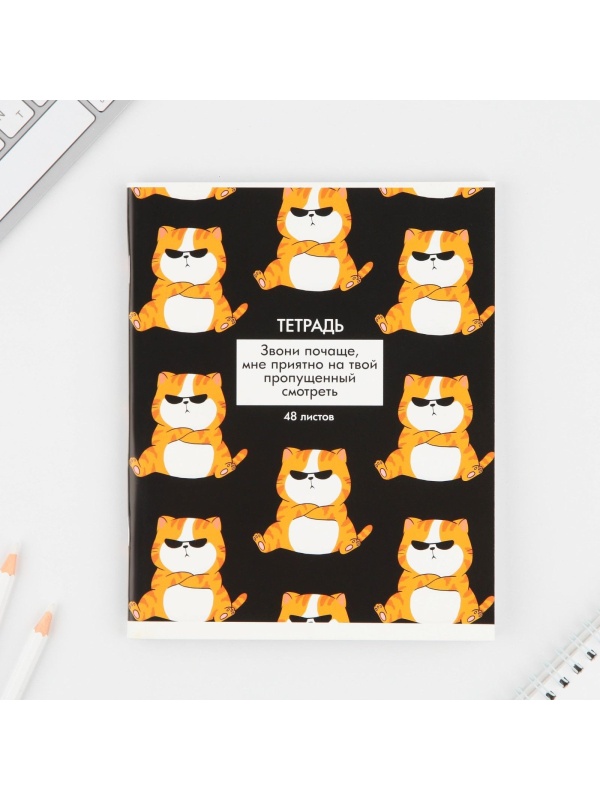 Тетрадь в клетку, 48 листов А5 на скрепке МИКС «1 сентября: Котики приколы», обложка мелованный картон 230 гр.,блок №1, 80 гр., белизна 96%