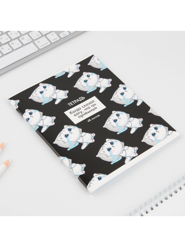 Тетрадь в клетку, 48 листов А5 на скрепке МИКС «1 сентября: Котики приколы», обложка мелованный картон 230 гр.,блок №1, 80 гр., белизна 96%