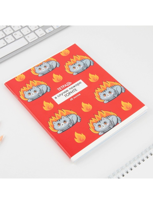 Тетрадь в клетку, 48 листов А5 на скрепке МИКС «1 сентября: Котики приколы», обложка мелованный картон 230 гр.,блок №1, 80 гр., белизна 96%