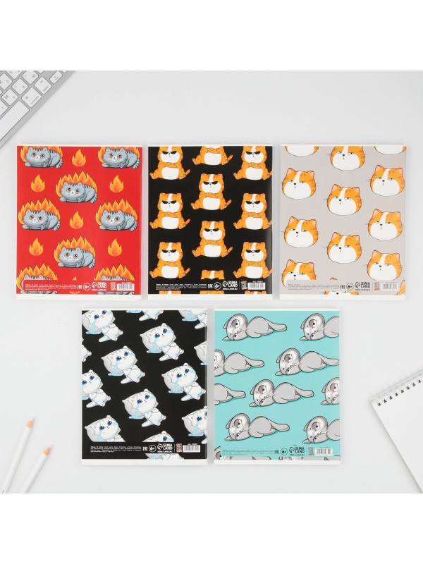 Тетрадь в клетку, 48 листов А5 на скрепке МИКС «1 сентября: Котики приколы», обложка мелованный картон 230 гр.,блок №1, 80 гр., белизна 96%