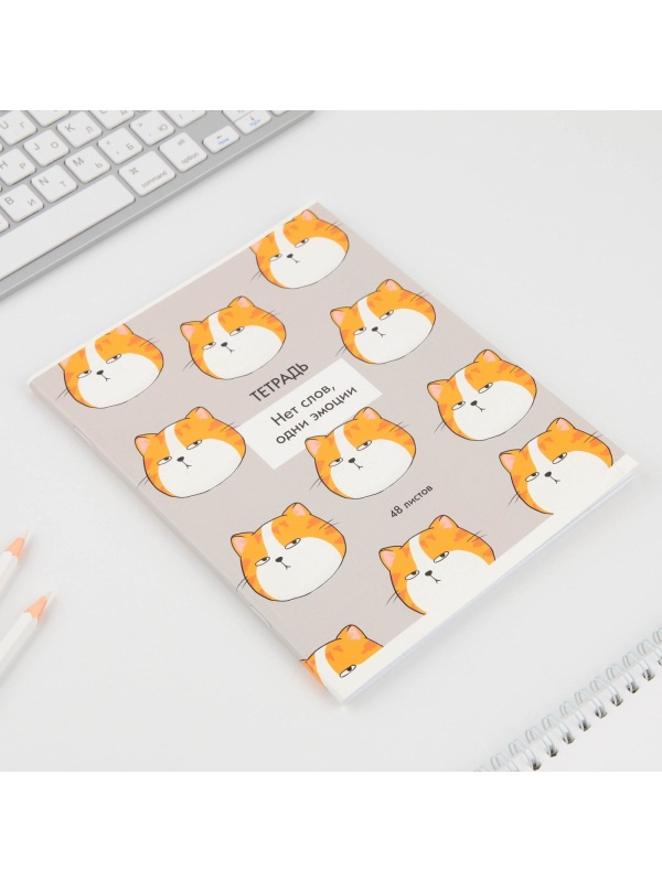 Тетрадь в клетку, 48 листов А5 на скрепке МИКС «1 сентября: Котики приколы», обложка мелованный картон 230 гр.,блок №1, 80 гр., белизна 96%