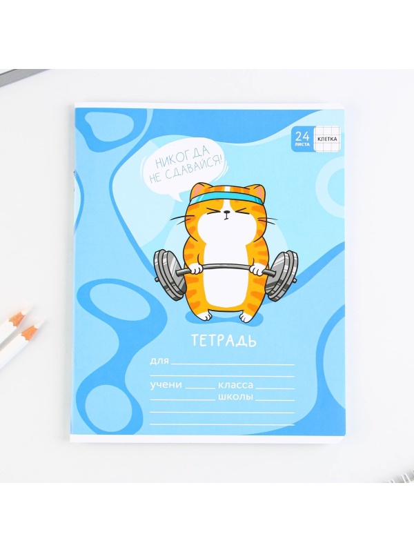 Тетрадь в клетку 24 листа А5, на скрепке «1 сентября: Котэ», 5 видов МИКС, белизна 96% .
