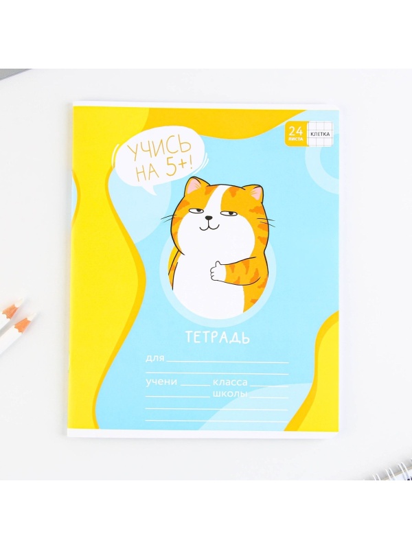 Тетрадь в клетку 24 листа А5, на скрепке «1 сентября: Котэ», 5 видов МИКС, белизна 96% .