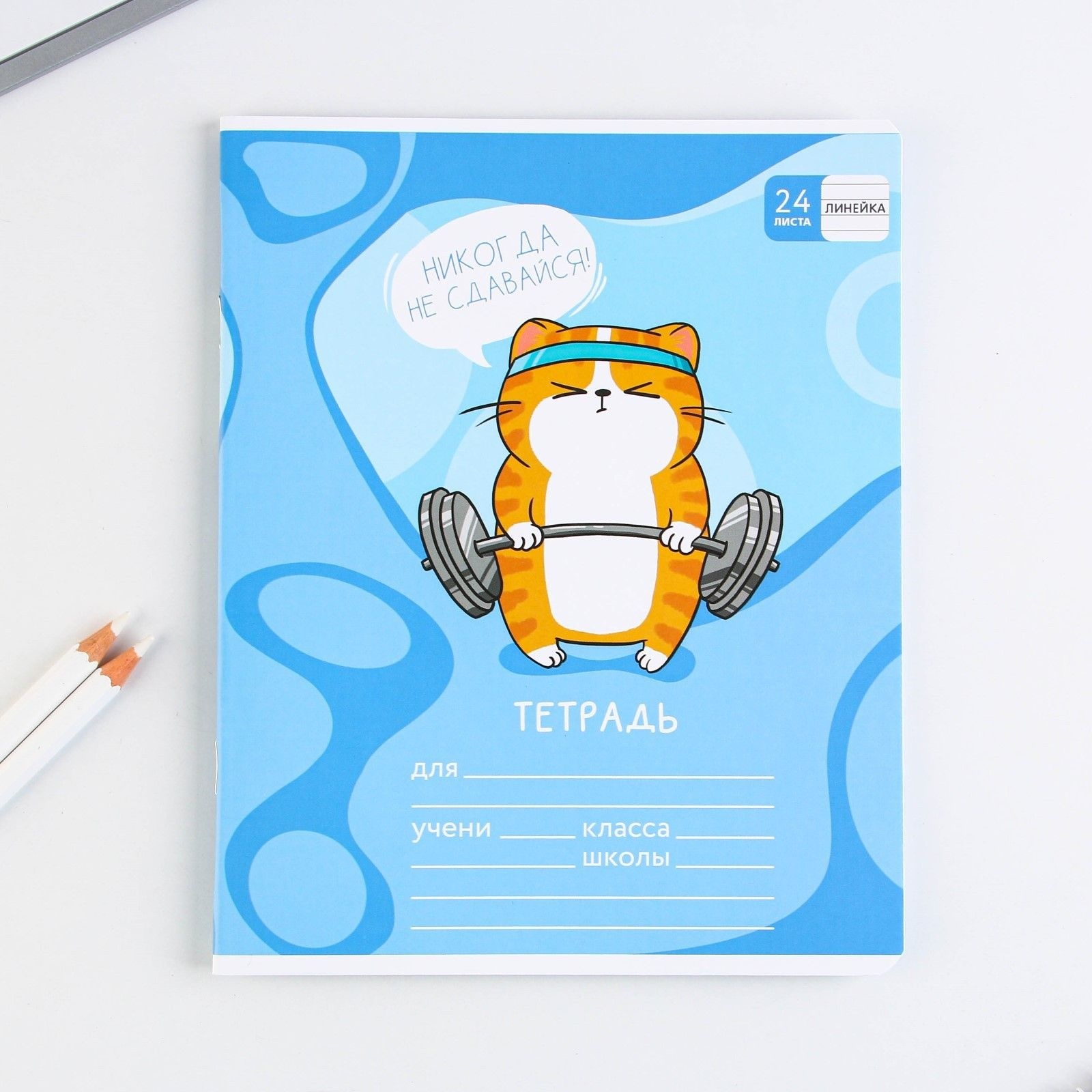 Тетрадь в линейку 24 листа А5, на скрепке «1 сентября: Котэ», 5 видов МИКС, белизна 96% .