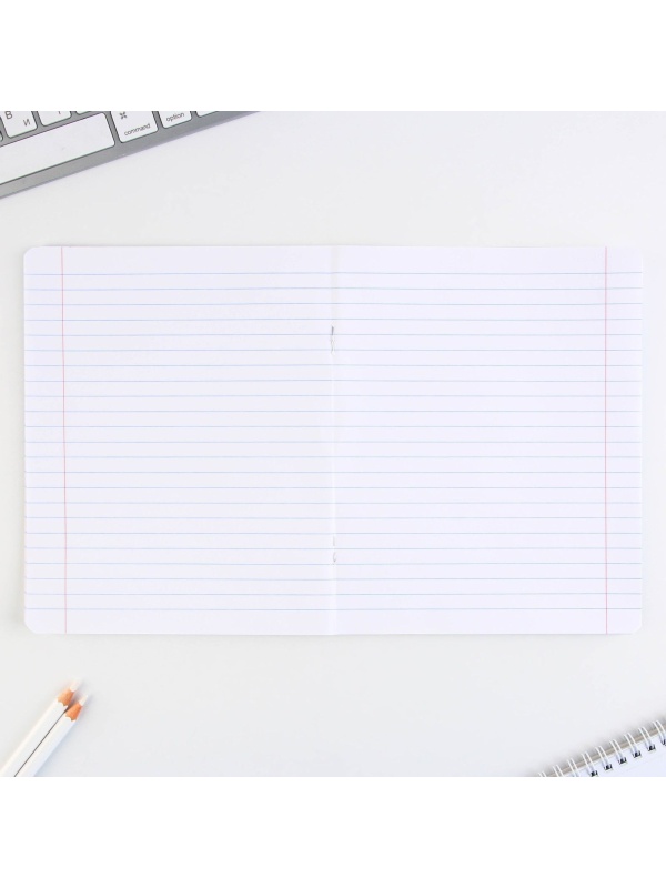 Тетрадь в линейку 24 листа А5, на скрепке «1 сентября: Котэ», 5 видов МИКС, белизна 96% .