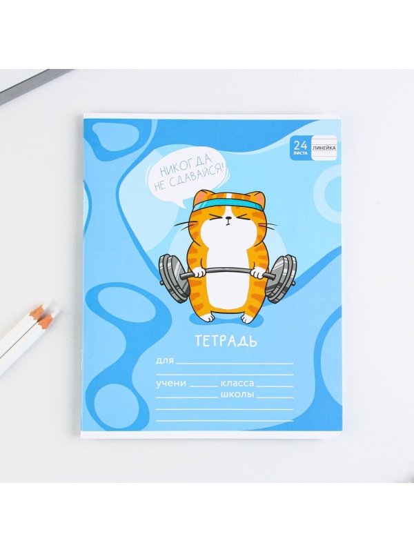 Тетрадь в линейку 24 листа А5, на скрепке «1 сентября: Котэ», 5 видов МИКС, белизна 96% .
