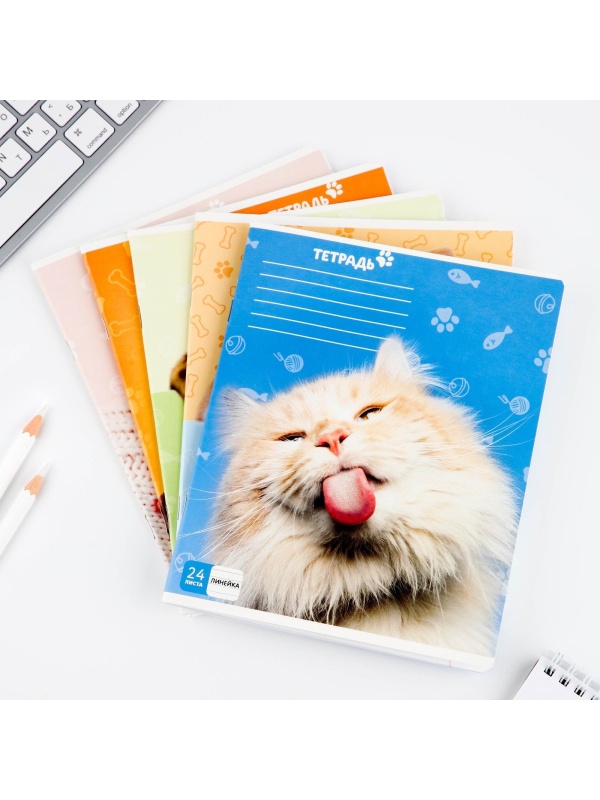Тетрадь в линейку 24 листа А5, на скрепке «1 сентября: Милые питомцы», 5 видов МИКС, белизна 96% .