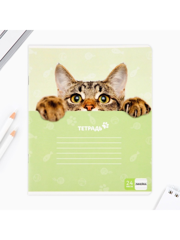 Тетрадь в линейку 24 листа А5, на скрепке «1 сентября: Милые питомцы», 5 видов МИКС, белизна 96% .