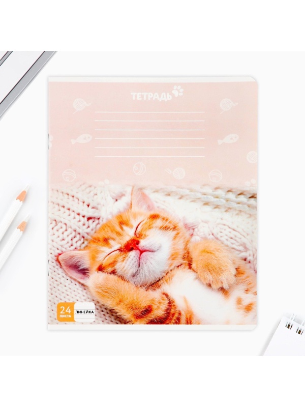 Тетрадь в линейку 24 листа А5, на скрепке «1 сентября: Милые питомцы», 5 видов МИКС, белизна 96% .