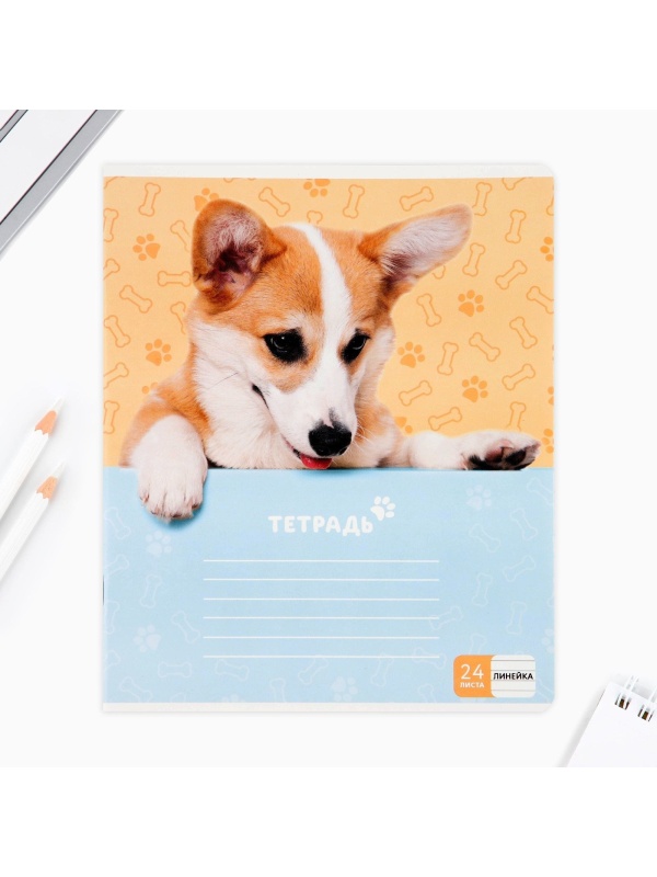 Тетрадь в линейку 24 листа А5, на скрепке «1 сентября: Милые питомцы», 5 видов МИКС, белизна 96% .